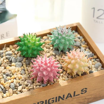 1 adet Sıcak Satış Simülasyon Çok et Bitkiler Saksı Yaratıcı Bonsai DIY Ev Yatak Odası yemek masası Rahat Dekorasyon Süsler