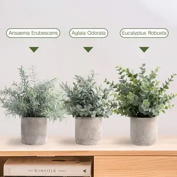 3 ADET Yaratıcı Mini Sahte Etli Dekor Etli Bitkiler Saksı Bitkileri Sahte Simülasyon Bitkiler Tencere ile Oturma Odası için Ev