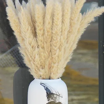 45cm Kamış Pampas Buğday Kulakları Tavşan Kuyruğu Çim Doğal Kurutulmuş buket çiçekler Mariage Noel Dekorasyon Parti Ev Dekor İçin