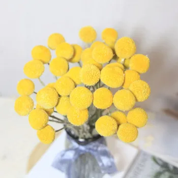 Altın Top Kurutulmuş Çiçekler Romantik Düğün Dekorasyon Aile Bahçe Çiçek Düzenleme Doğum Günü Dekorasyon Çiçek Sepeti