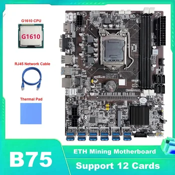 B75 ETH Madencilik Anakart 12 PCIE USB LGA1155 Anakart G1610 CPU + RJ45 Ağ Kablosu + Termal Ped
