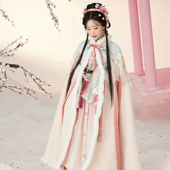 Peluş İşlemeli Pelerin Kadınlar İçin Çin Geleneksel Ceket Tang Hanedanı Prenses Elbise Kadın Zarif Hanfu Ceket DQL6692