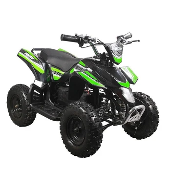 Yetişkin Off-road Araç Arazi Aracı Quad Elektrikli kros Motosiklet 60V1500W 1800W Dört Tekerlekli ATV